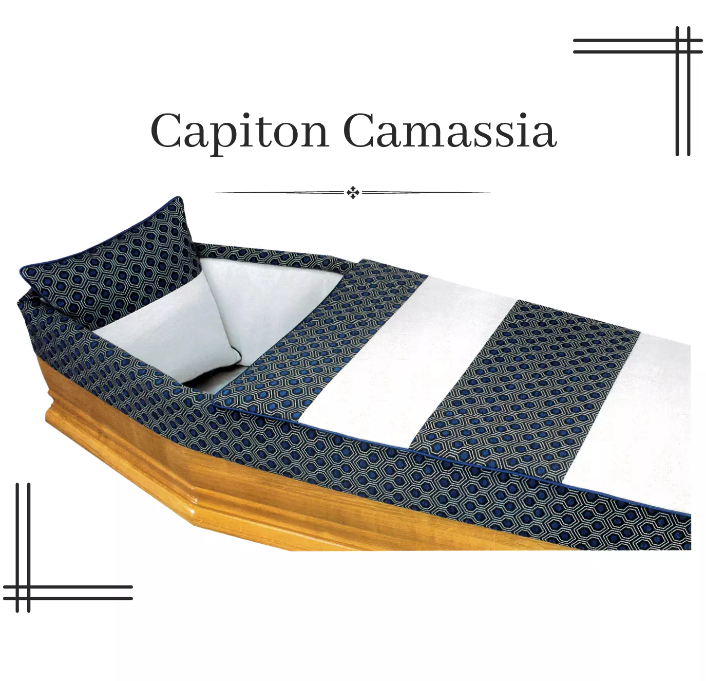 Capiton Camassia