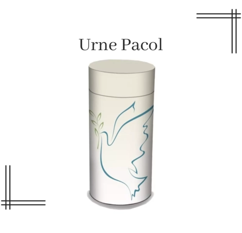 Urne Pacol